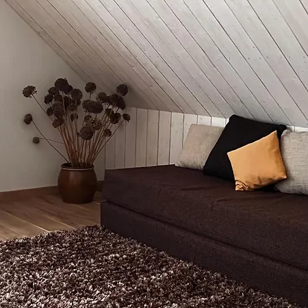 Holiday home Brivdienu Maja & Pirts Meza Vidu - Saraiku Sanderi